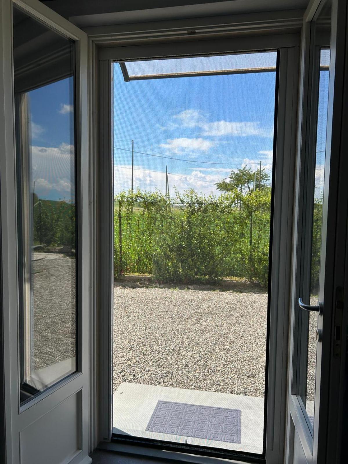 B&B Il Gelsomino Fontanelle di Roccabianca Eksteriør billede